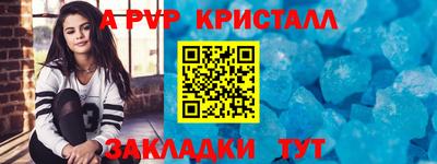 молекула духа Кингисепп