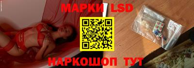 молекула духа Кингисепп