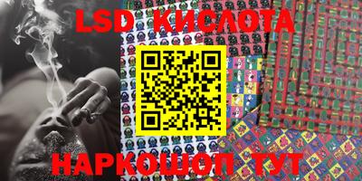 стаф Кинель