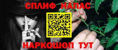 молекула духа Кингисепп