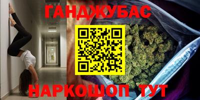 молекула духа Кингисепп