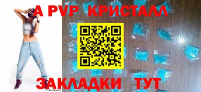 молекула духа Кингисепп