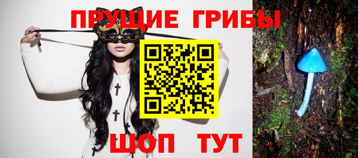 Галлюциногенные грибы прущие грибы Кинель