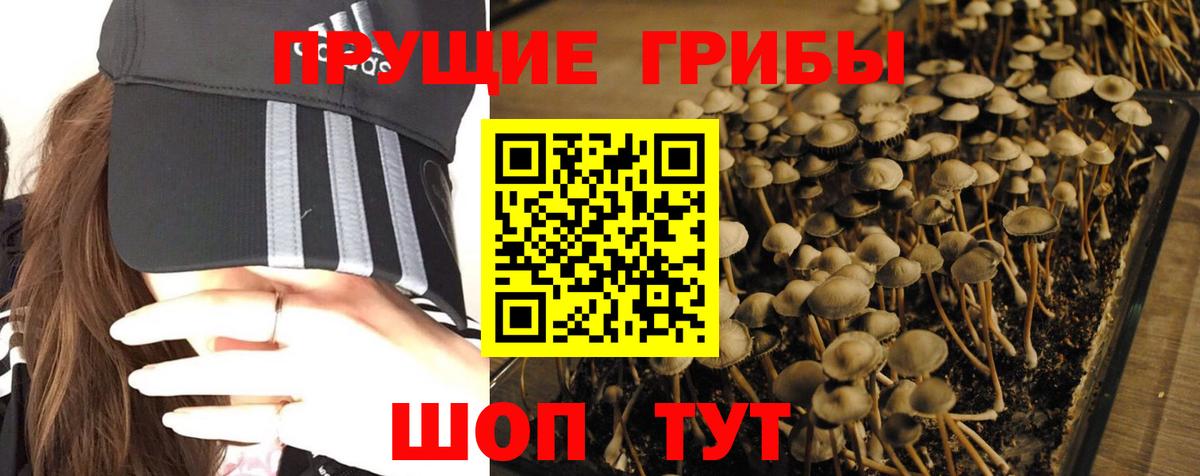 Псилоцибиновые грибы MAGIC MUSHROOMS  купить наркотики цена  Кинель  Вход с VPN 